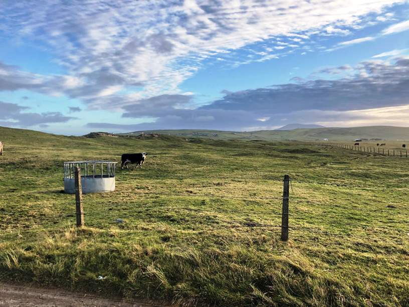 8.70 Hectares of land for sale at Aughleam, Blacksod, Belmullet, Co